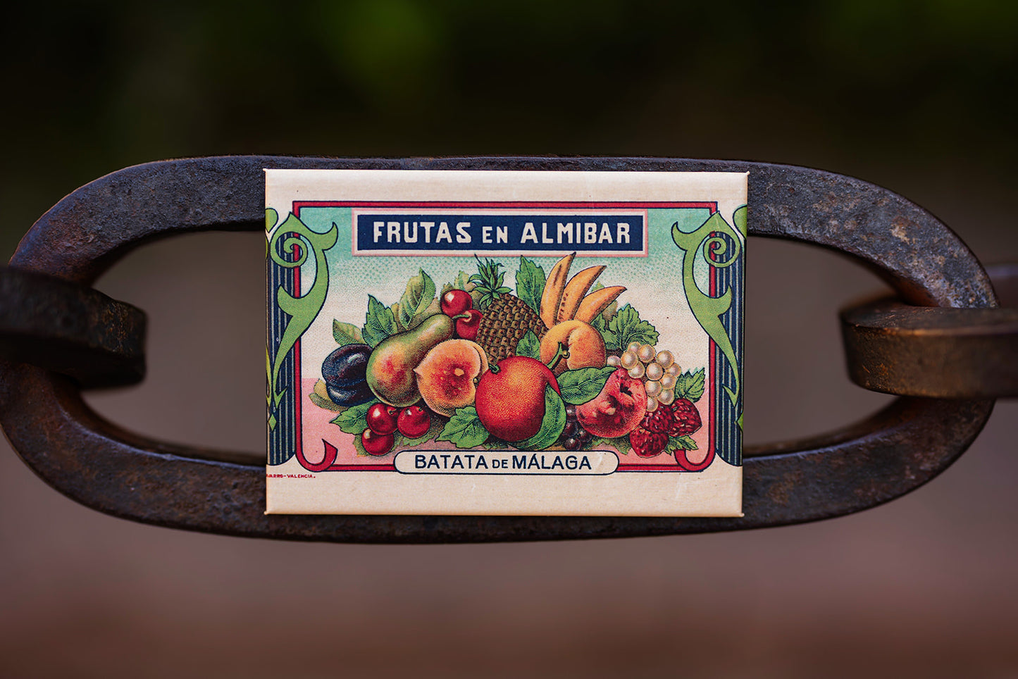 Imán Frutas en Almíbar